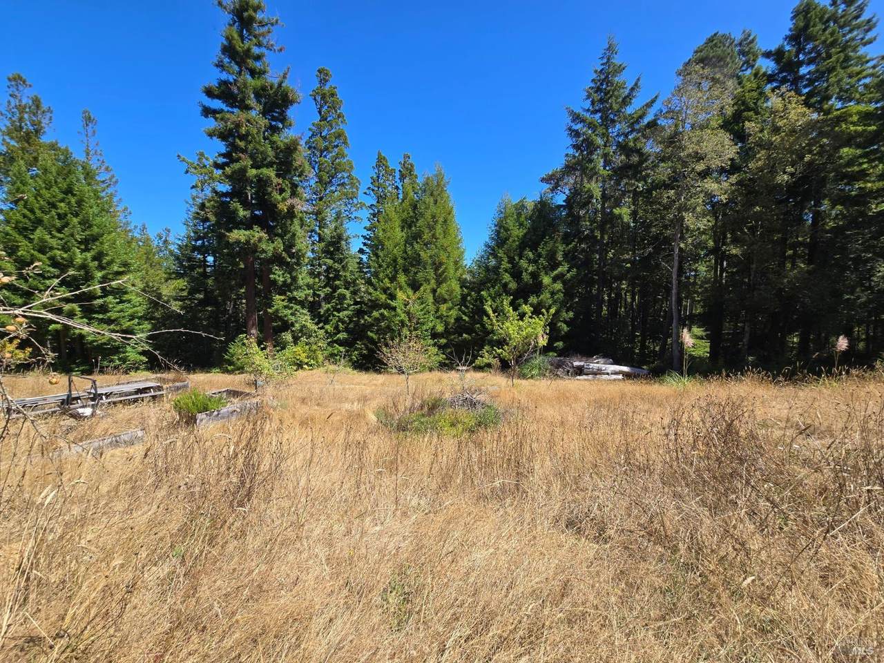 40741 Garcia River Road - Photo 1