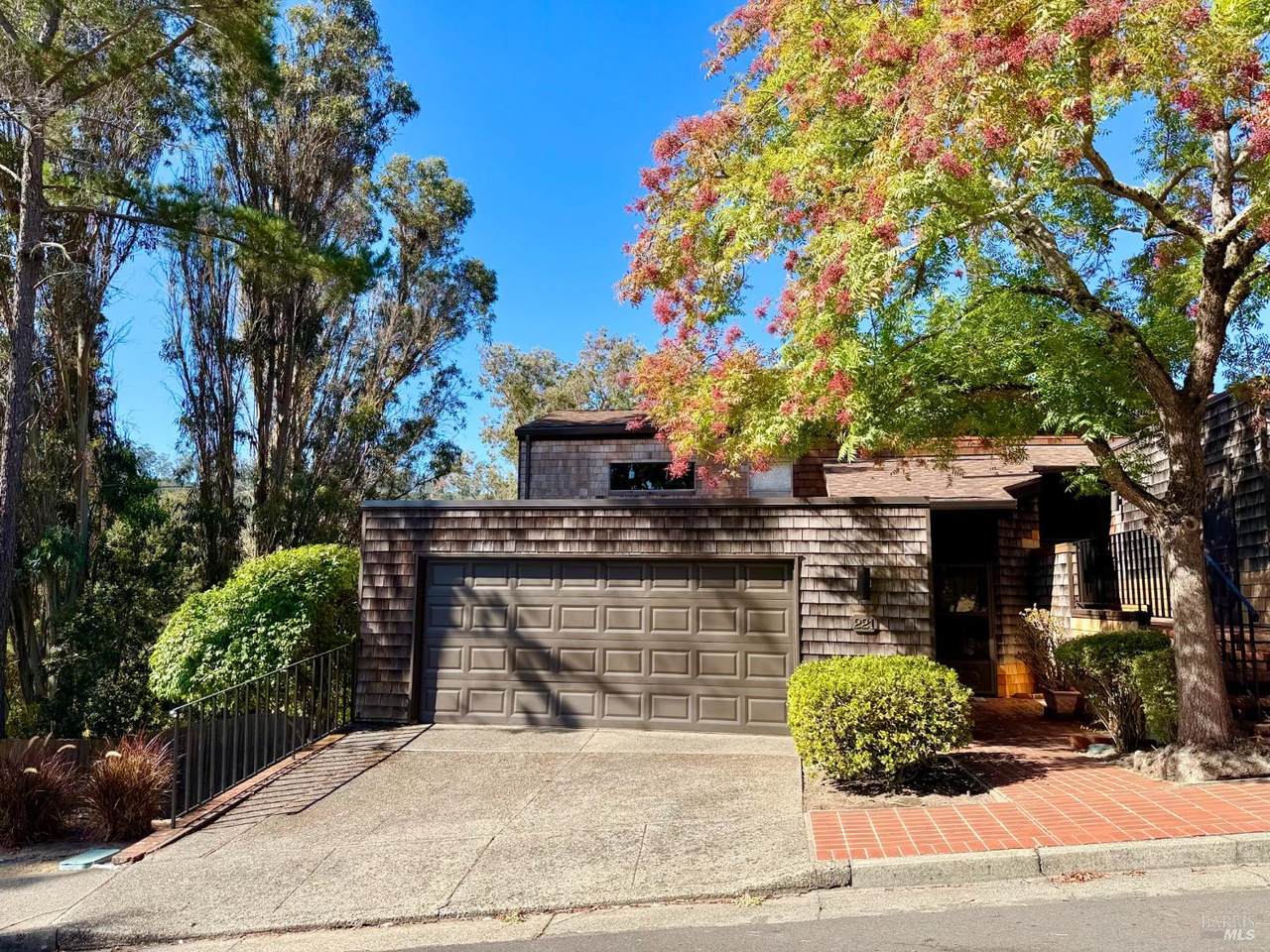 221 El Faisan Drive - Photo 1