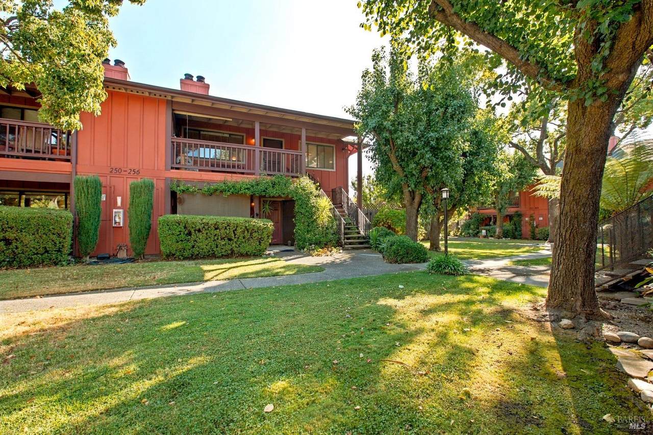 256 Agua Caliente Road - Photo 1