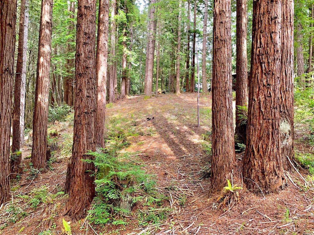 22107 Ruoff Road - Photo 1