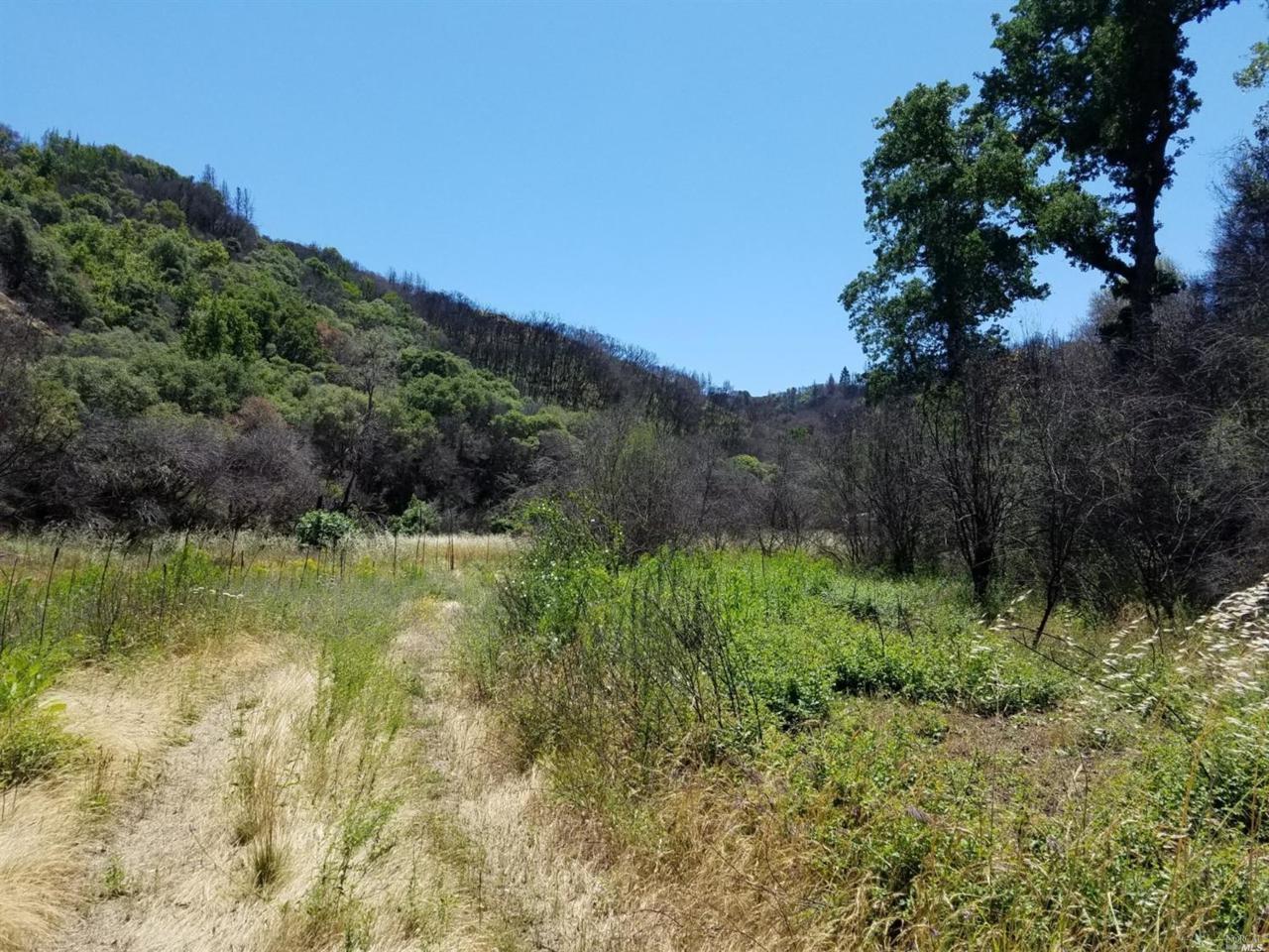 3427 Scotts Creek Road - Photo 1