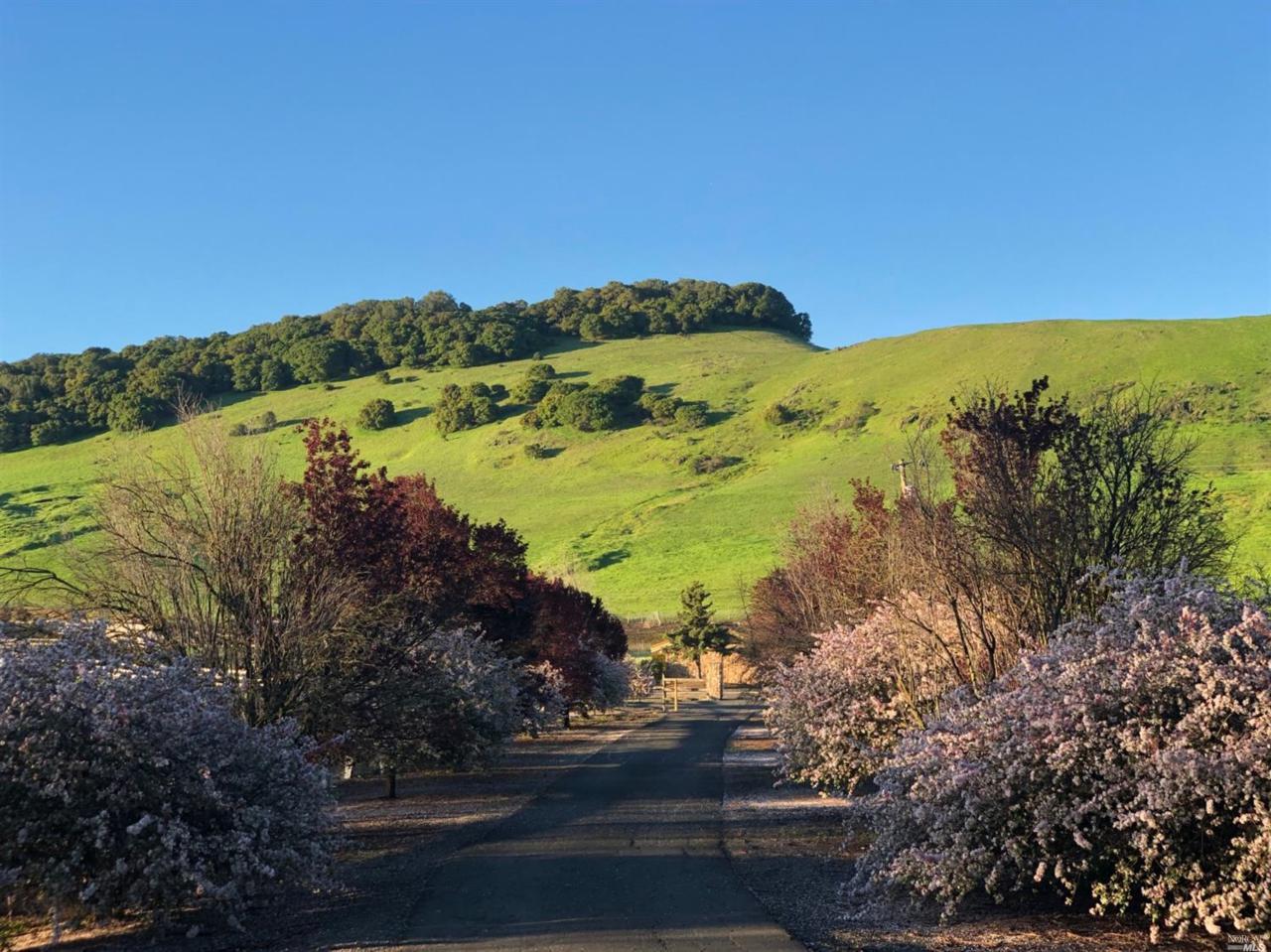 2120 American Canyon Road - Photo 1