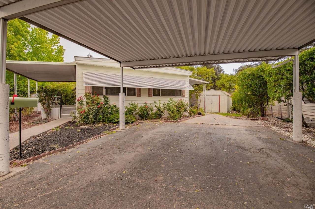 25 Lemon Tree Circle - Photo 1