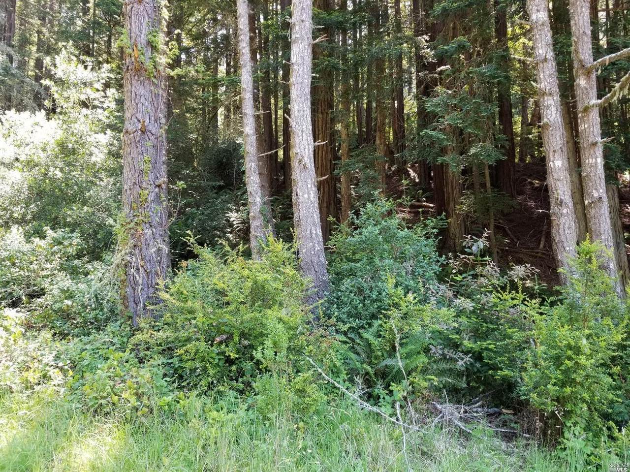0 Old Stage Road - Photo 1