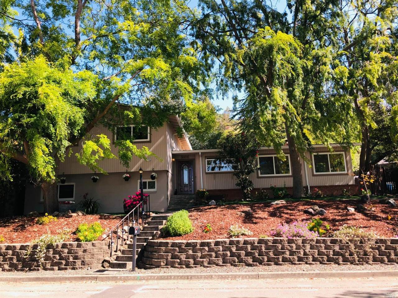 5575 Yerba Buena Drive - Photo 1