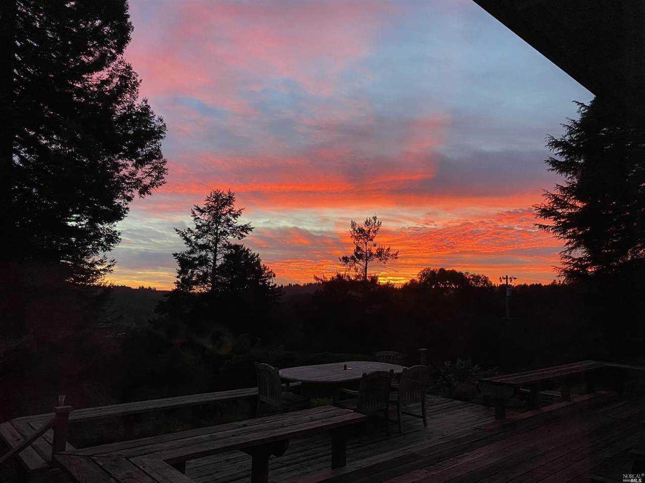 1263 Rim Of The Redwoods Road - Photo 1