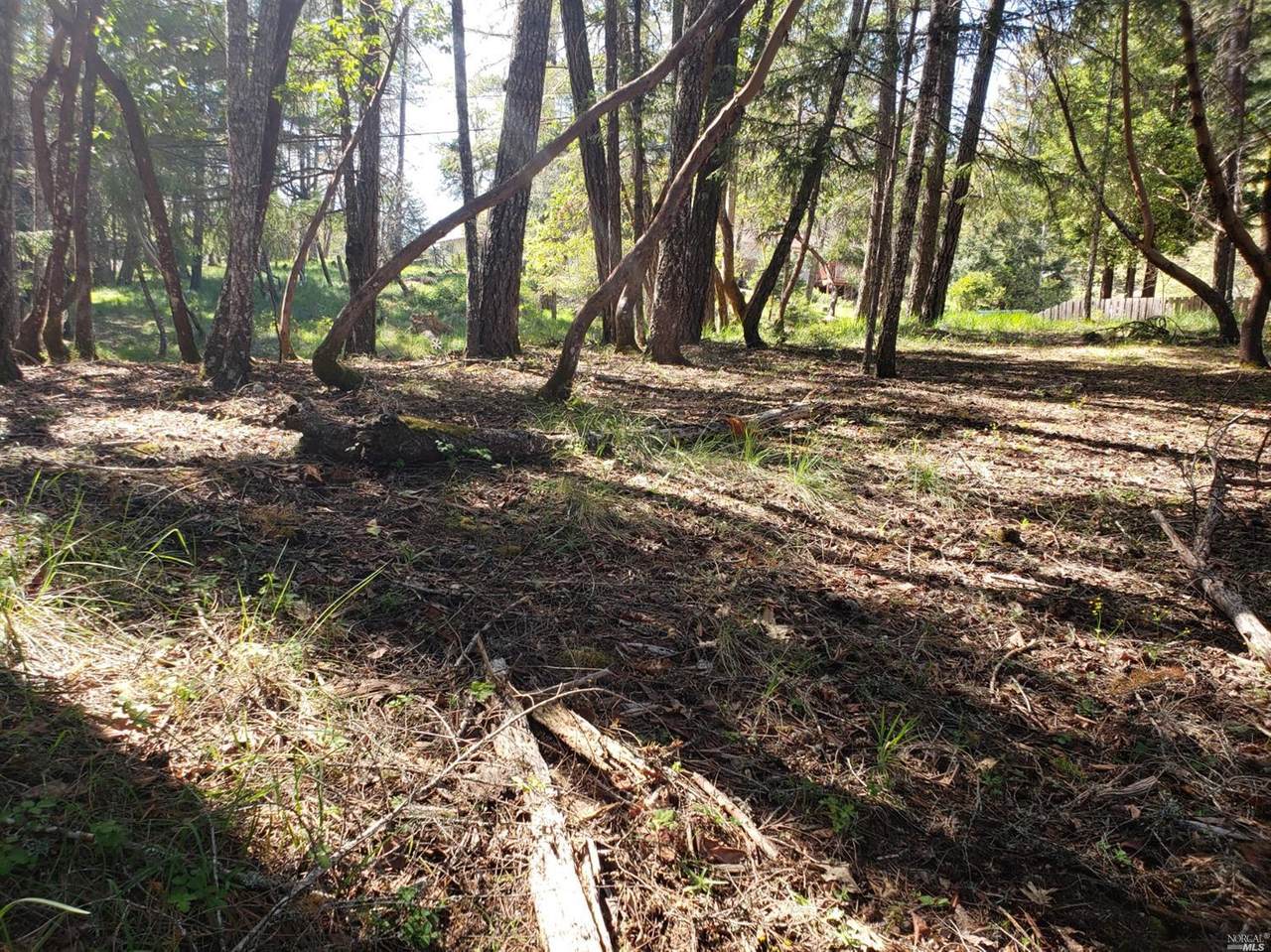 26613 Hawk Road - Photo 1