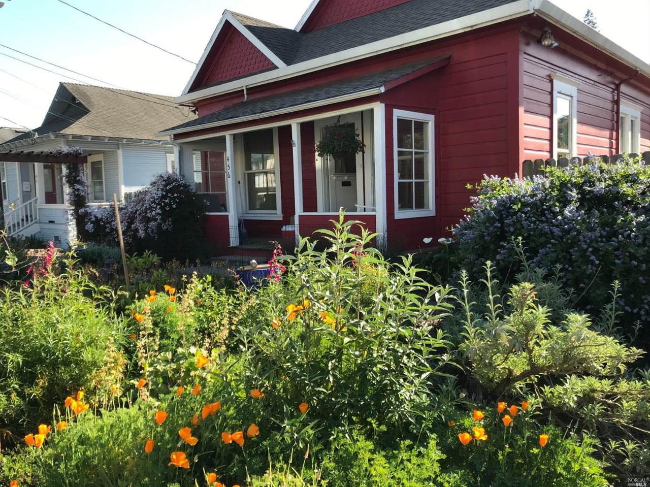456 Petaluma Avenue - Photo 1