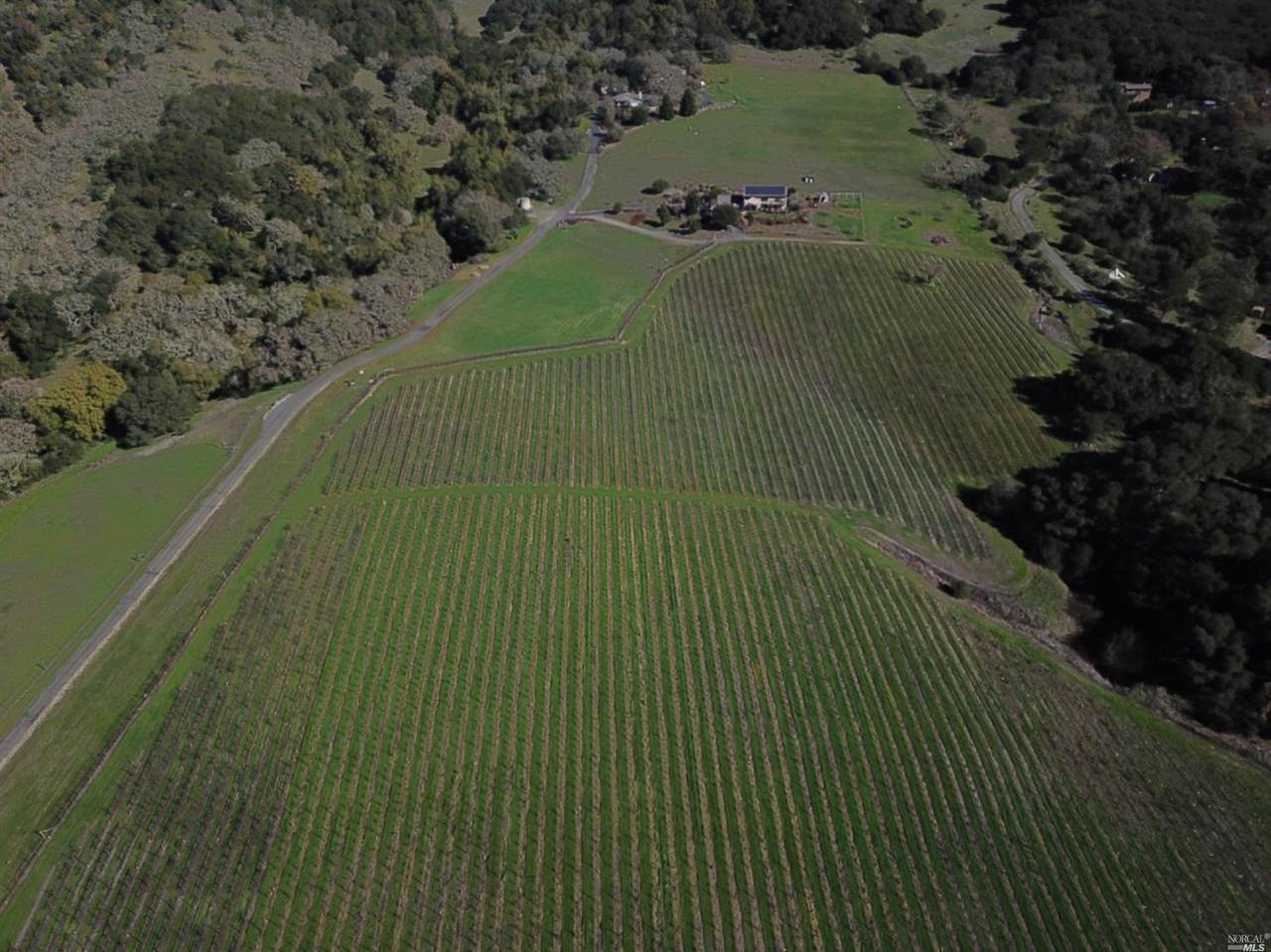 4000 Petaluma Hill Road - Photo 1