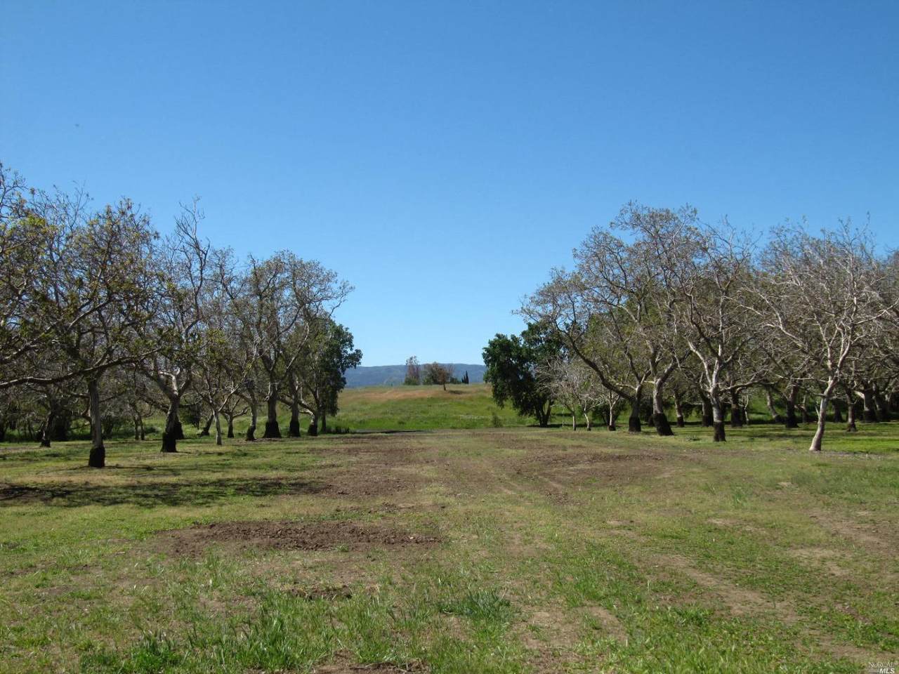 8757 Winters Road - Photo 1