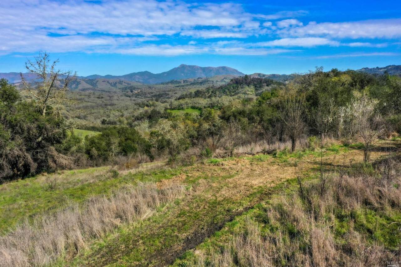 11005 Chalk Hill Road - Photo 1