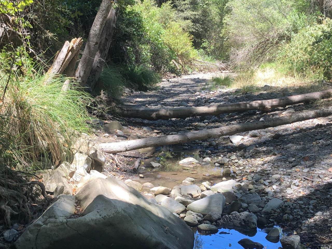 0 Woodman Creek Road - Photo 1