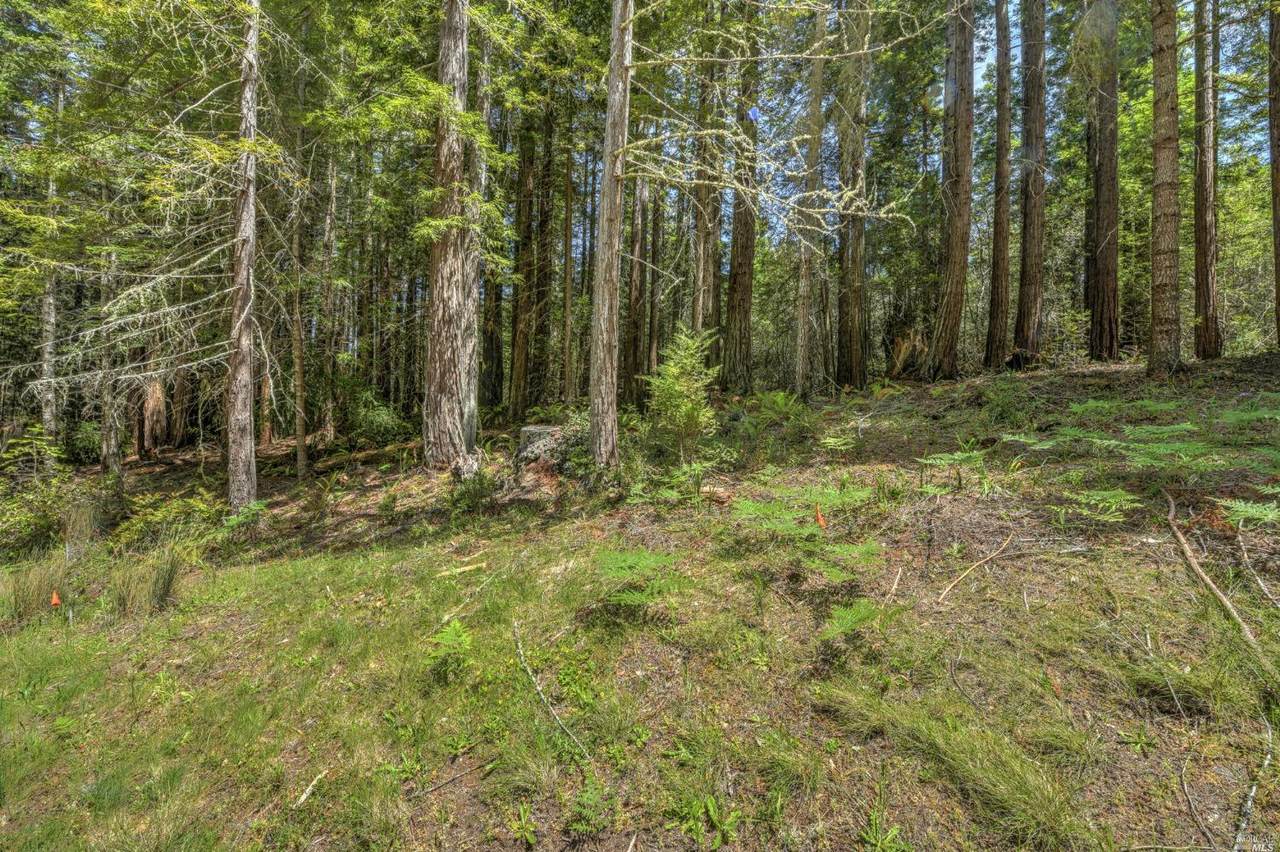 35400 Timber Ridge Drive - Photo 1