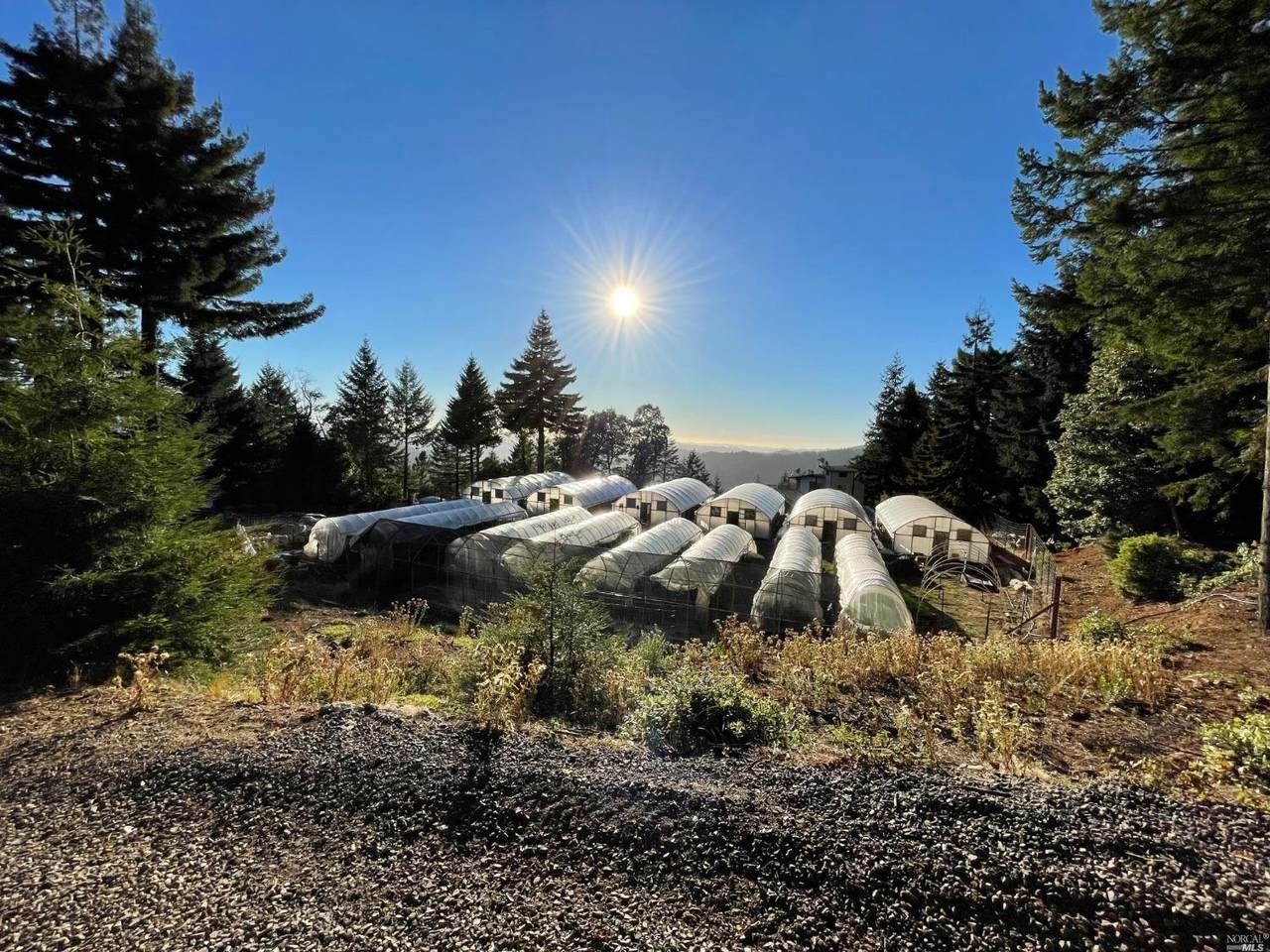 29882 Blue Lake Road - Photo 1