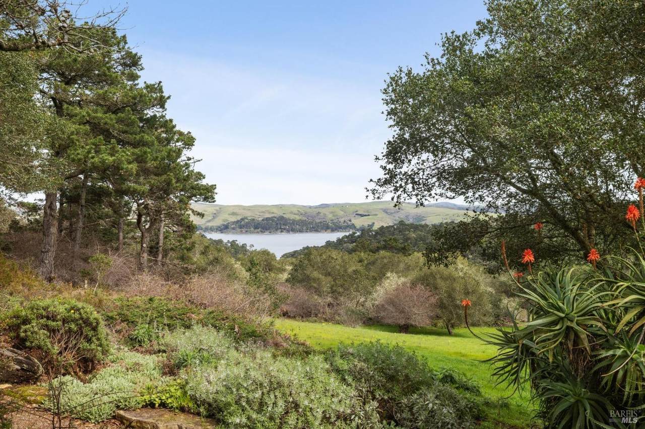 1208 Pierce Point Road - Photo 1