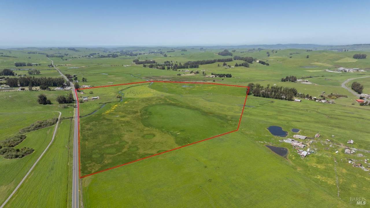 530 Tomales Road - Photo 1