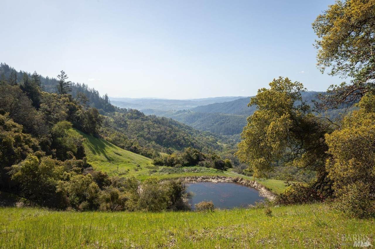 34996 Highway 128 Highway - Photo 1