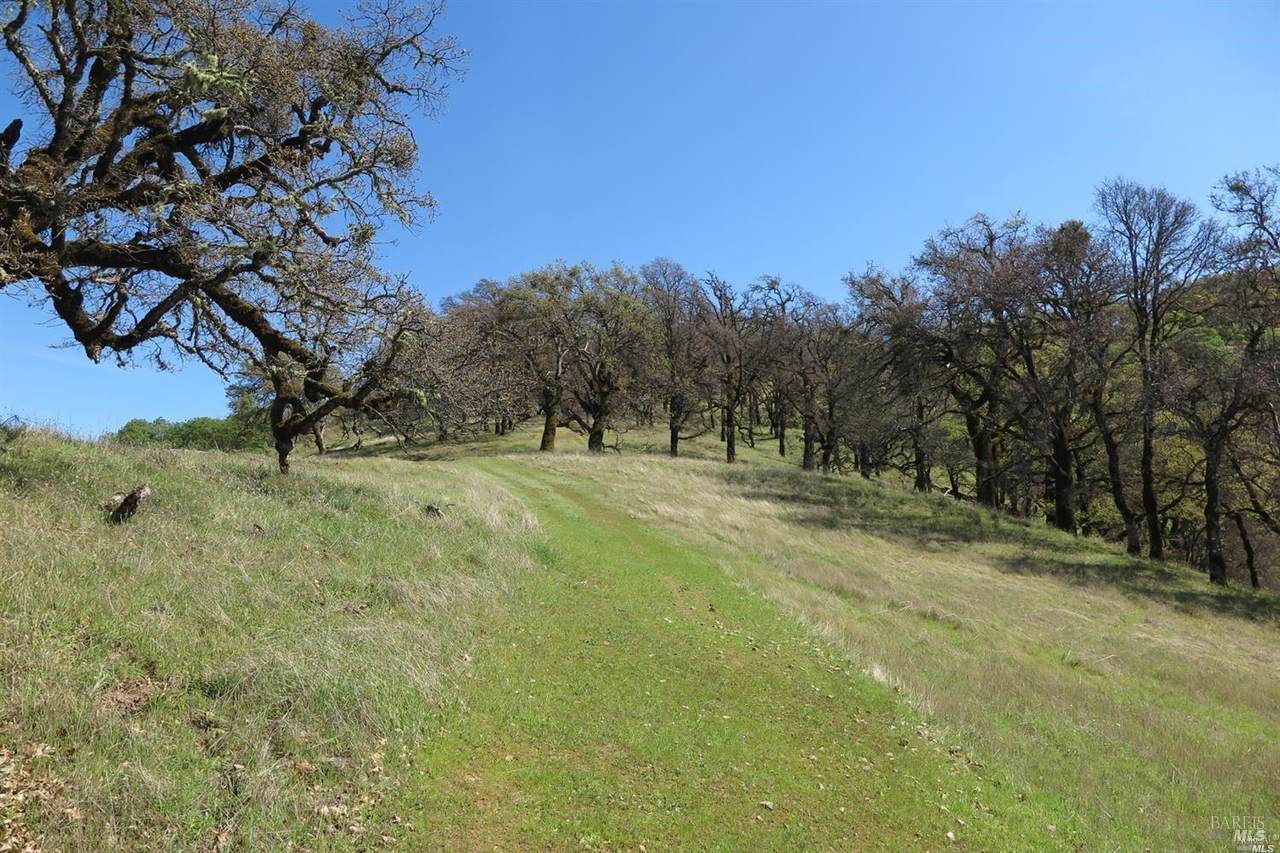 12950 Eagle Rock Road - Photo 1