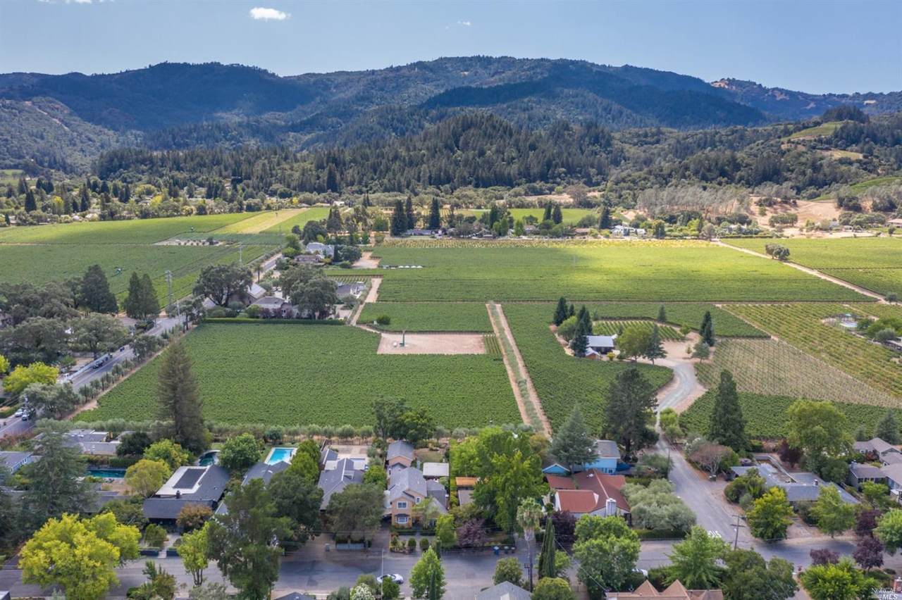 1655 Scott Street - Photo 1