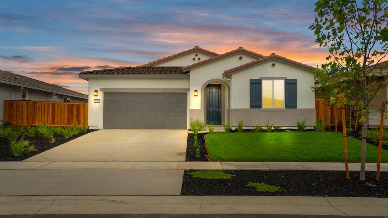 1131 Camomile Drive - Photo 1