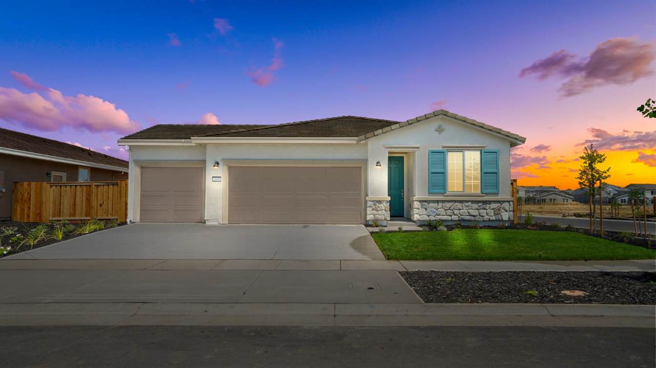 1095 Camomile Drive - Photo 1