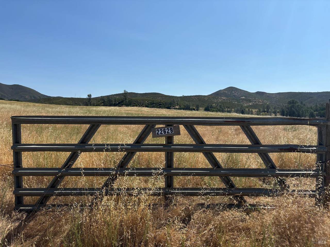 22629 Jerusalem Grade Road - Photo 1