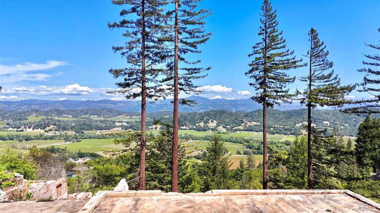 8207 Dry Creek Road - Photo 1