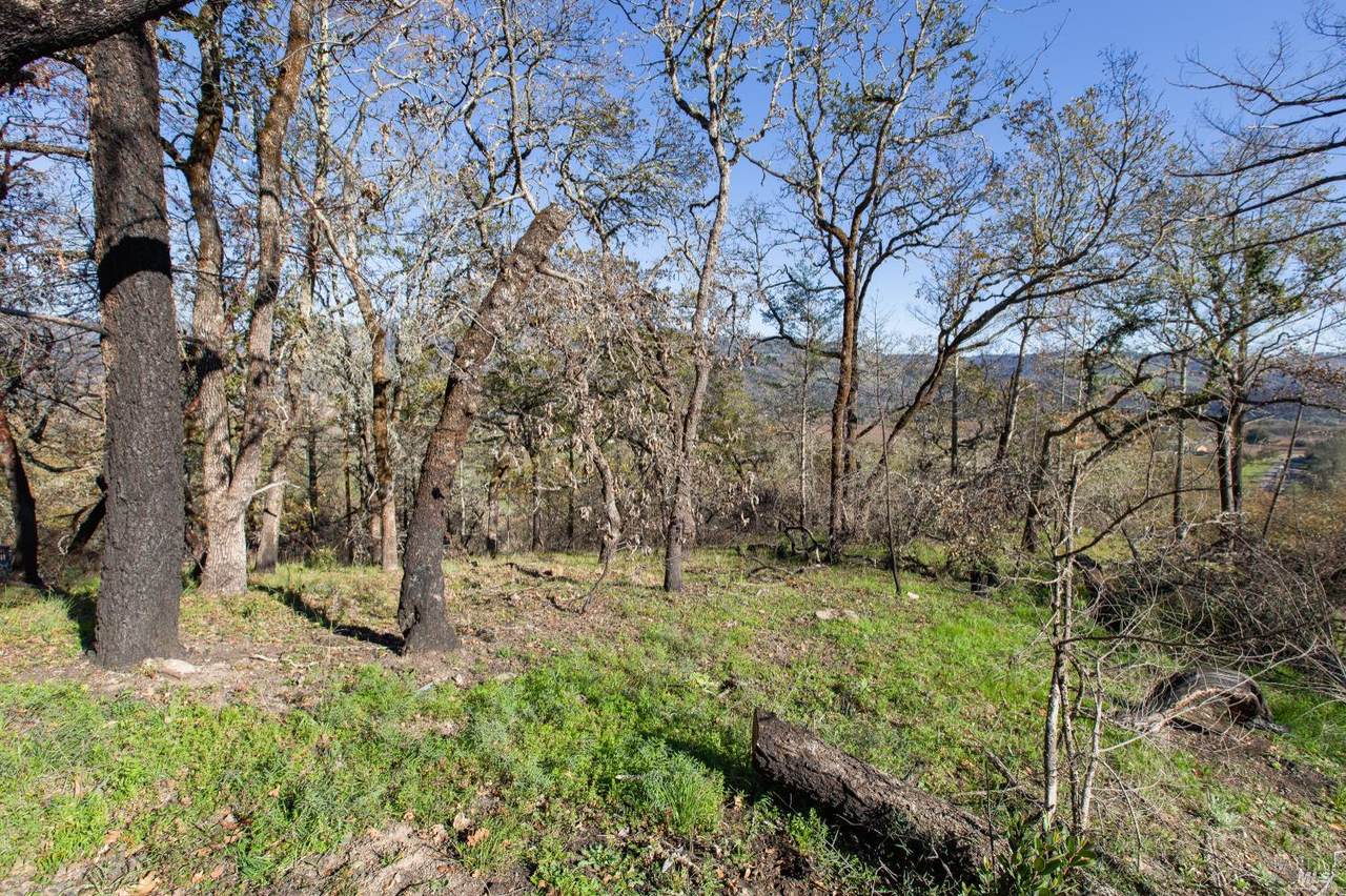 0 Tucker Road - Photo 1