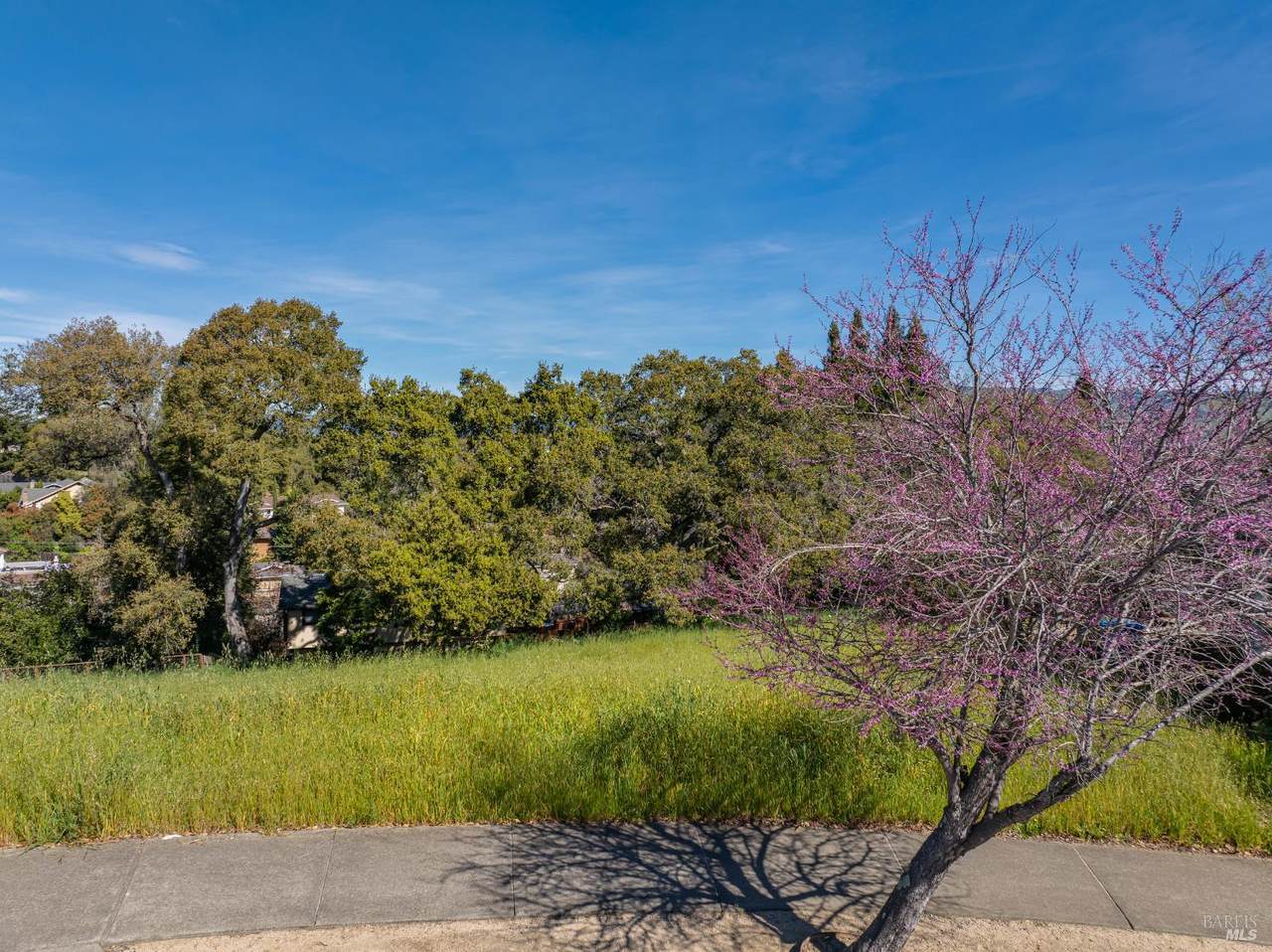 513 Larch Drive - Photo 1