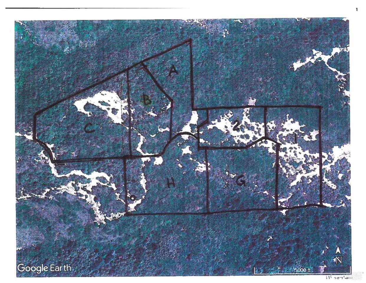 1375 Redwood Avenue - Photo 1