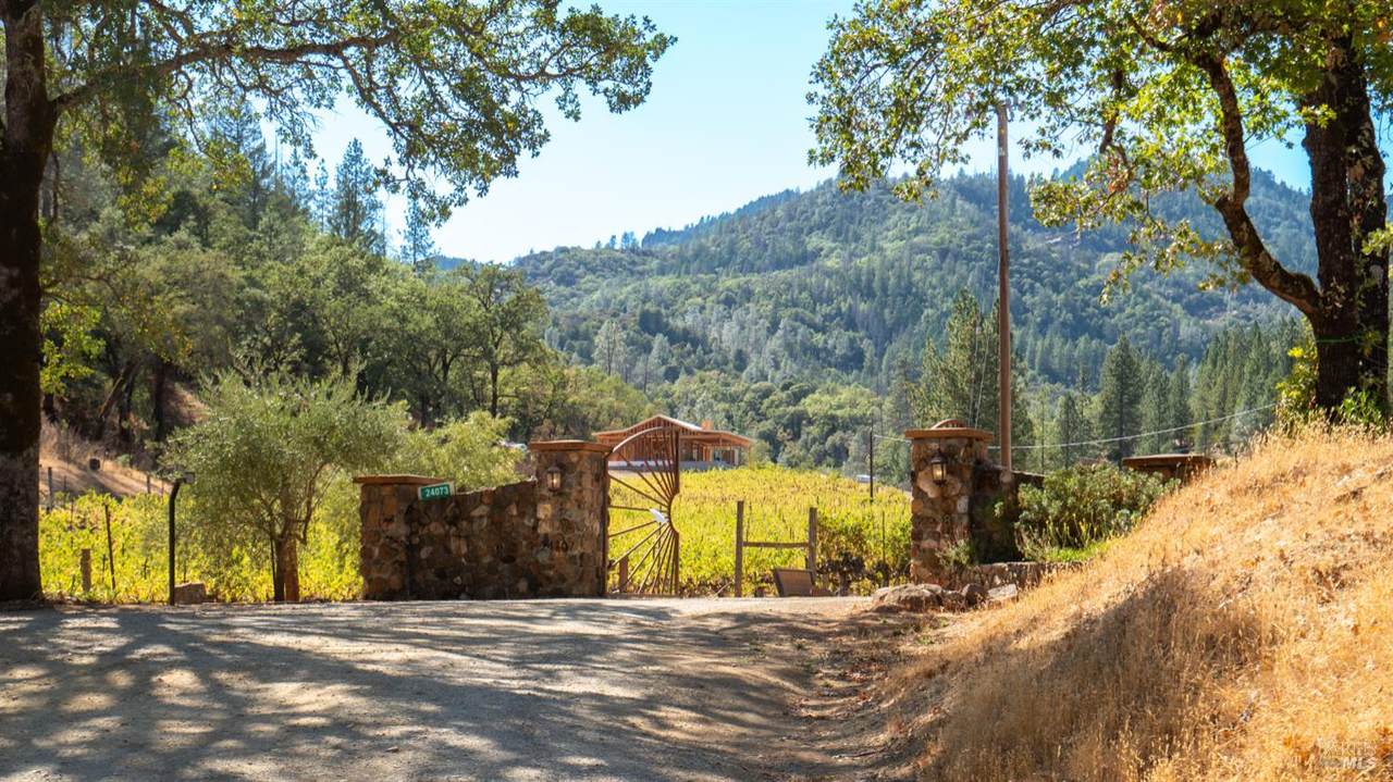 23945 State Hwy 29 - Photo 1