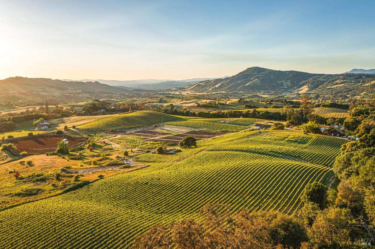 5561 Sonoma Mountain Road - Photo 1