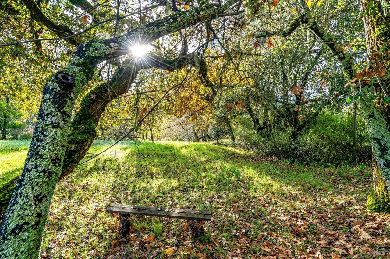 1055 Heaven Hill Road - Photo 1