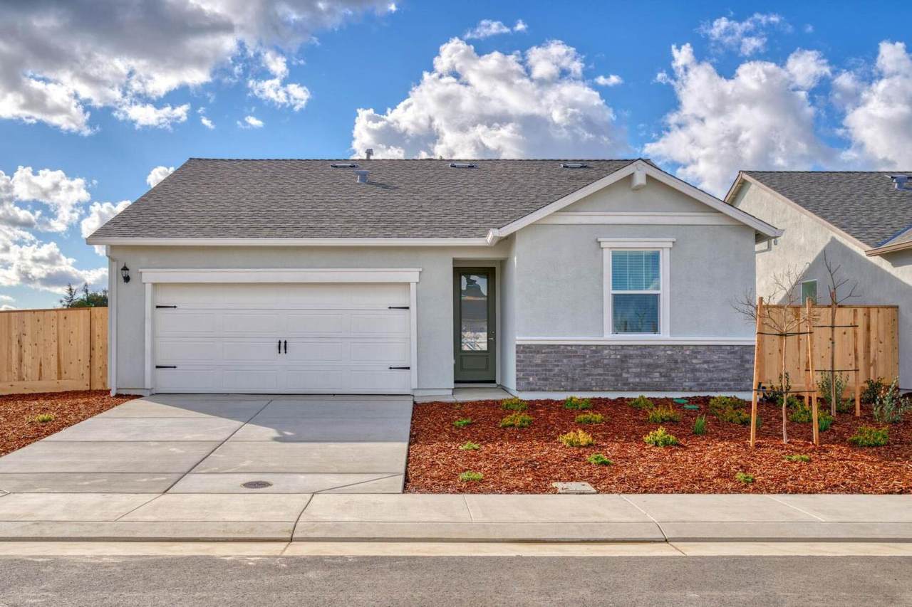 3445 Dillion Way - Photo 1