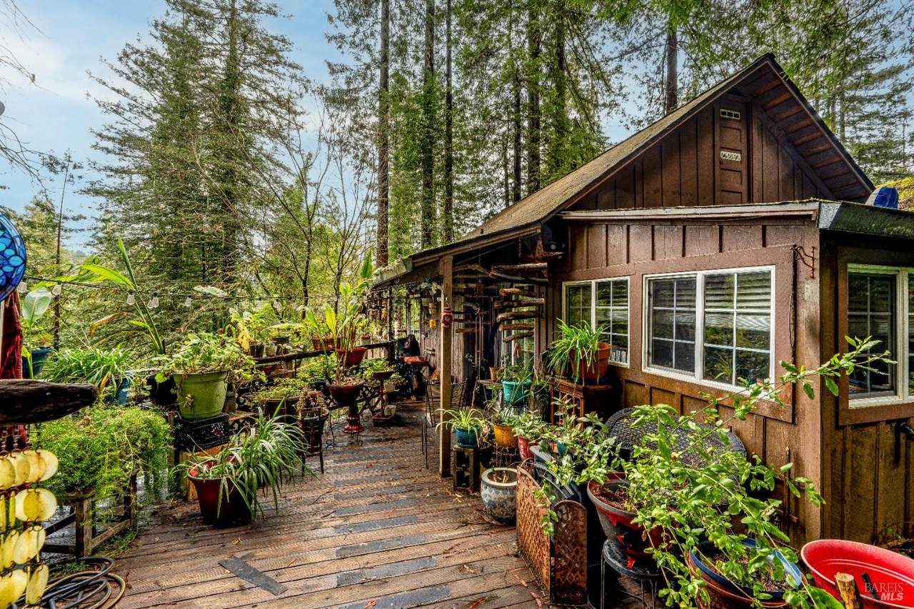 17910 Old Monte Rio Road - Photo 1