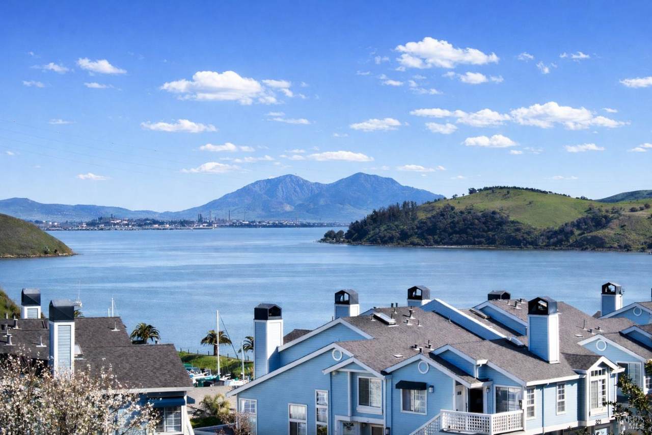 511 Timbercove Street - Photo 1