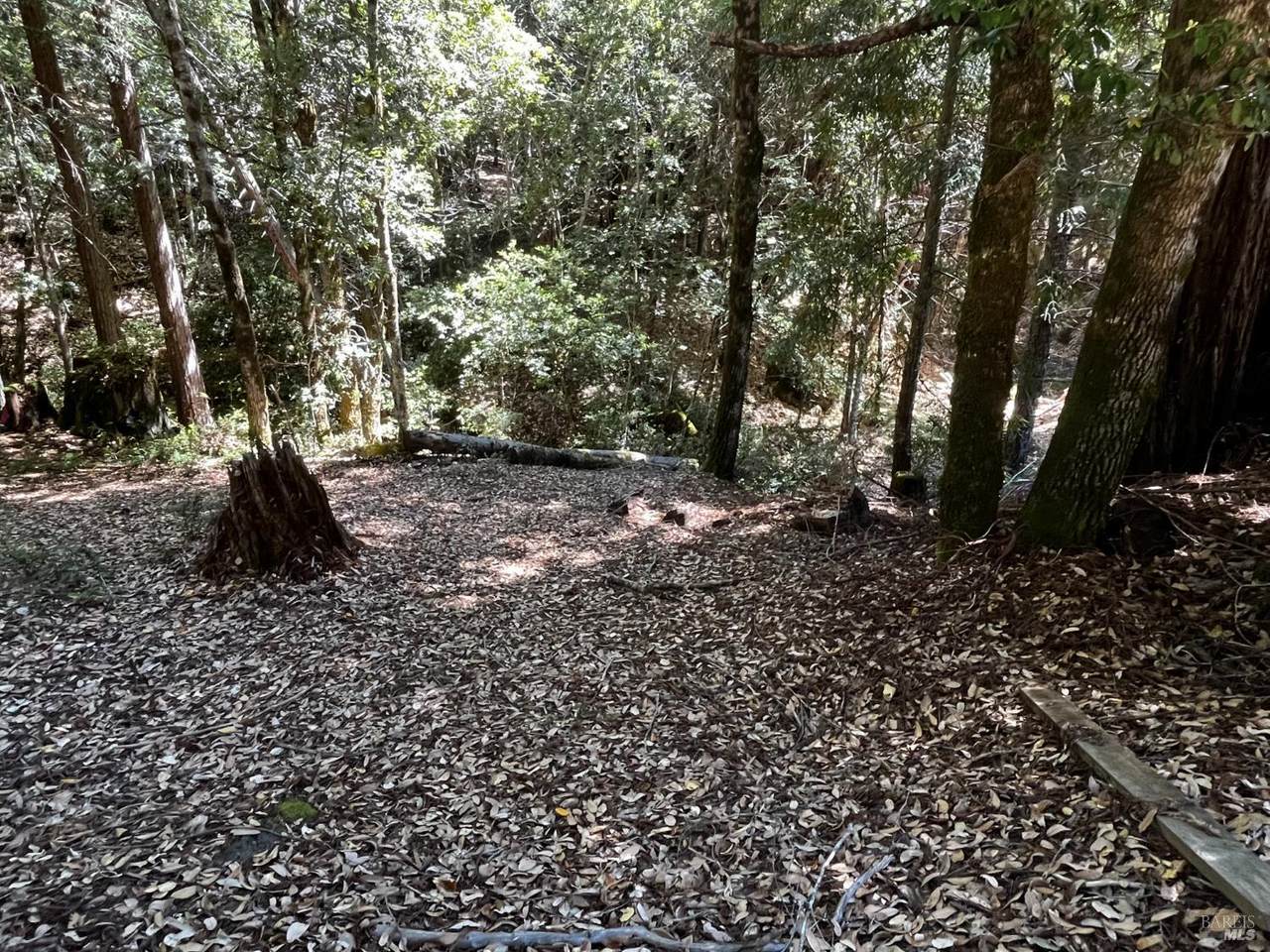 24413 Rose Terrace - Photo 1