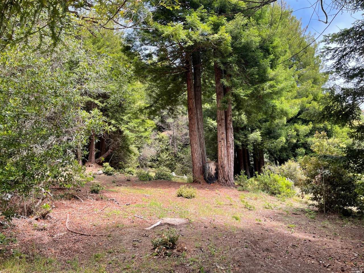 340 Halcyon - Photo 1