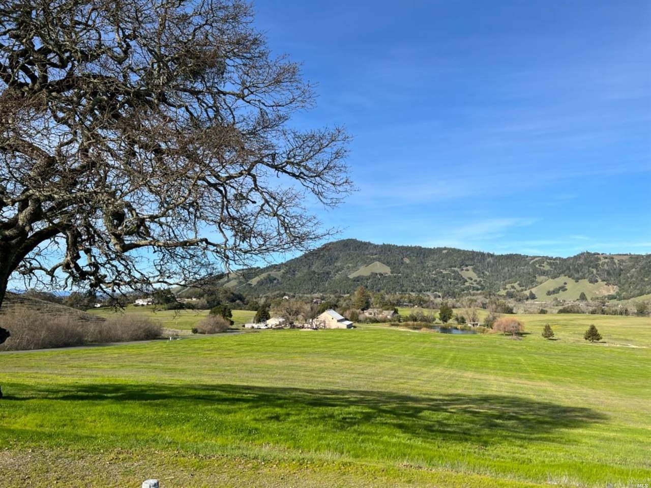 6519 Jamison Road - Photo 1