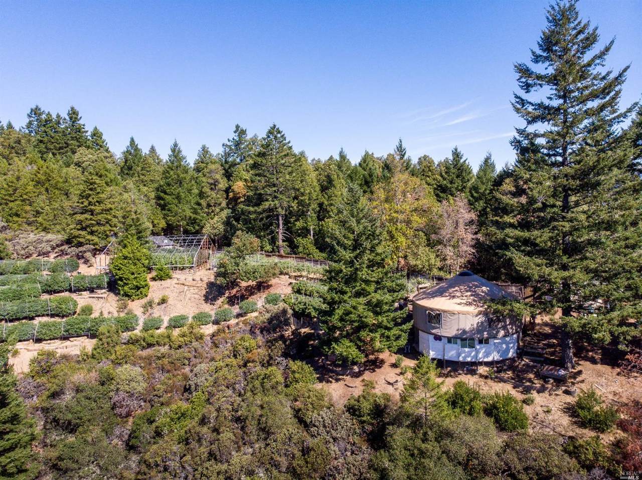 17480 Shafer Ranch Road - Photo 1