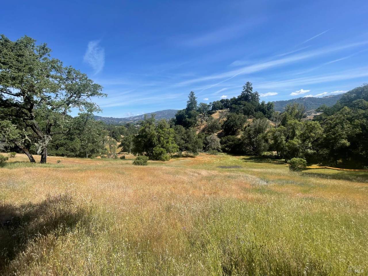 28365 Old Redwood Highway - Photo 1