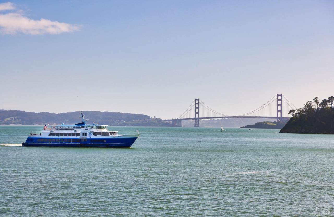 403 Paradise Drive - Photo 1