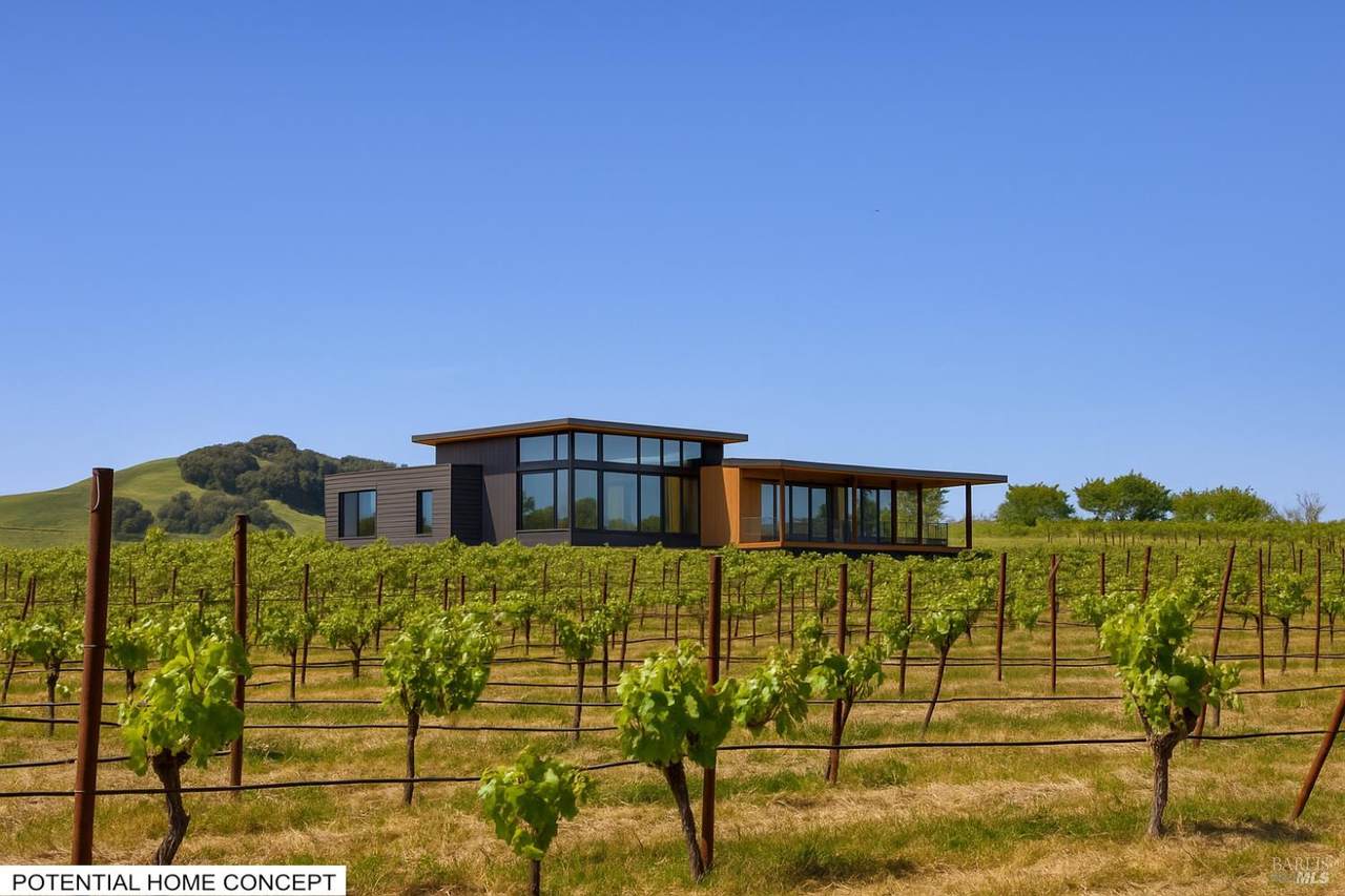 2590 Chileno Valley Road - Photo 1