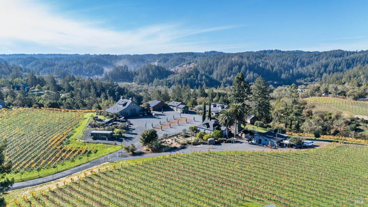 7750 Giusti Road - Photo 1