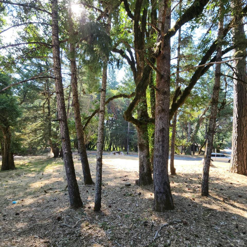 25331 Sherwood Road - Photo 1