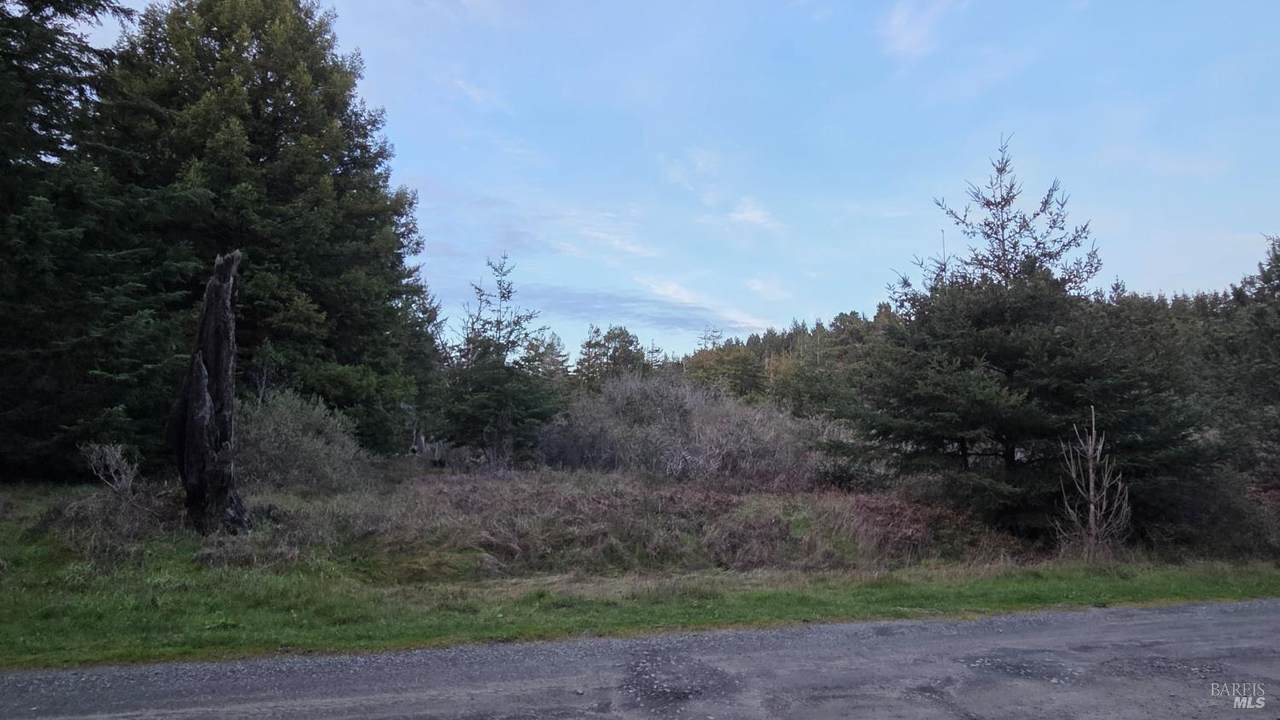 0 Iversen Drive - Photo 1