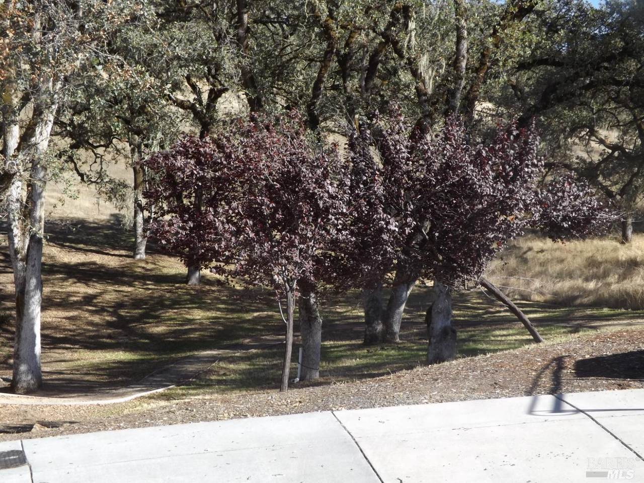 2521 Bartlett Court - Photo 1