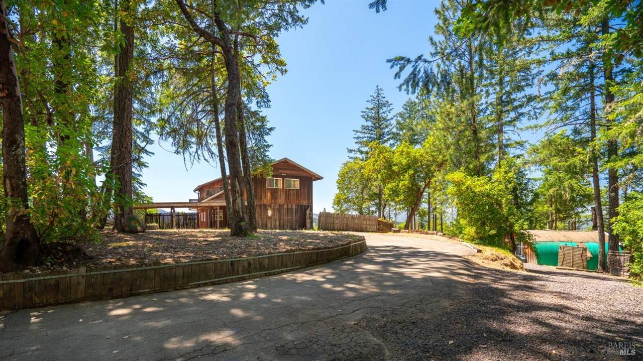 17000 Old Boy Scout Road - Photo 1