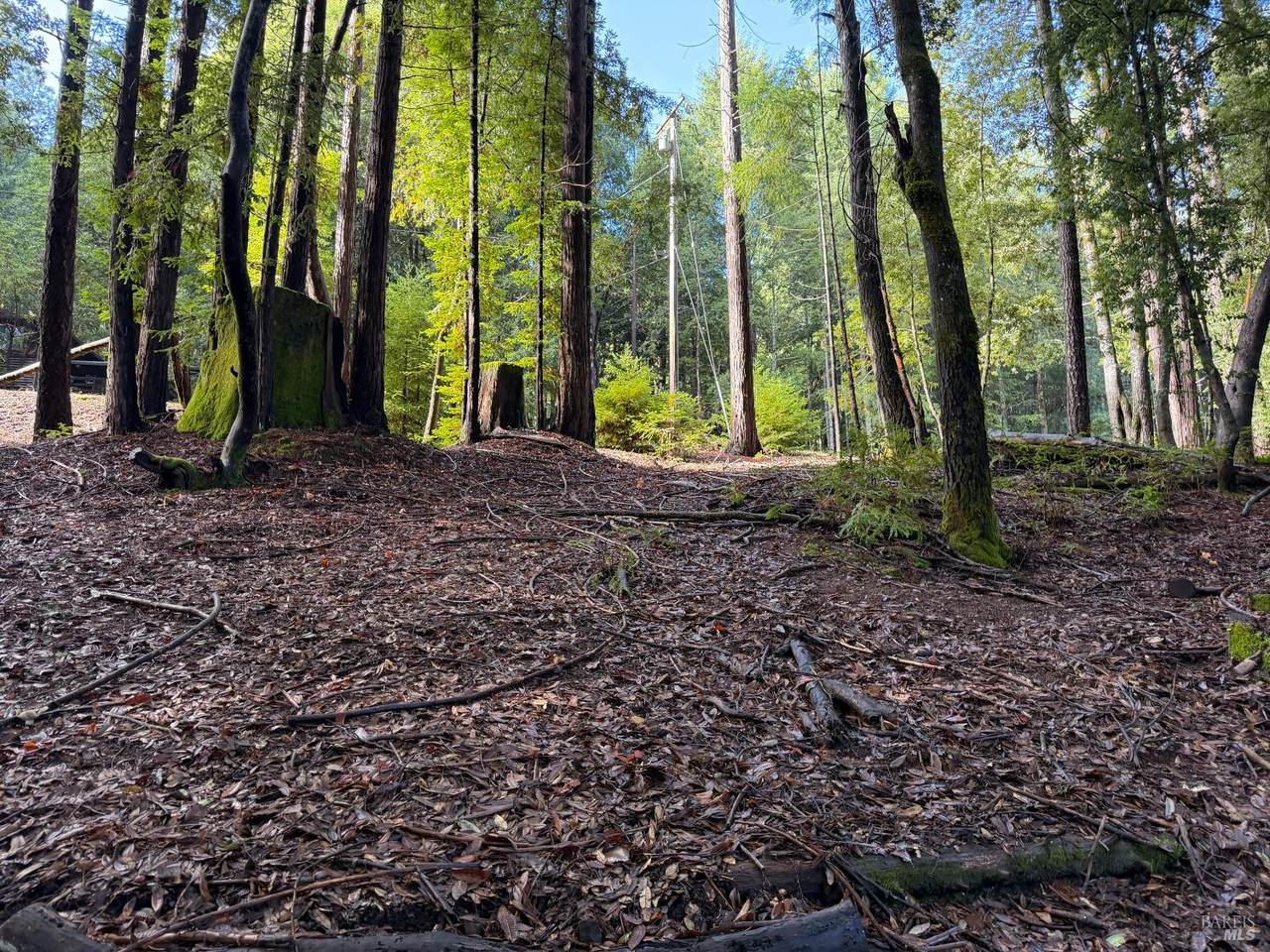 27089 Otter Court - Photo 1