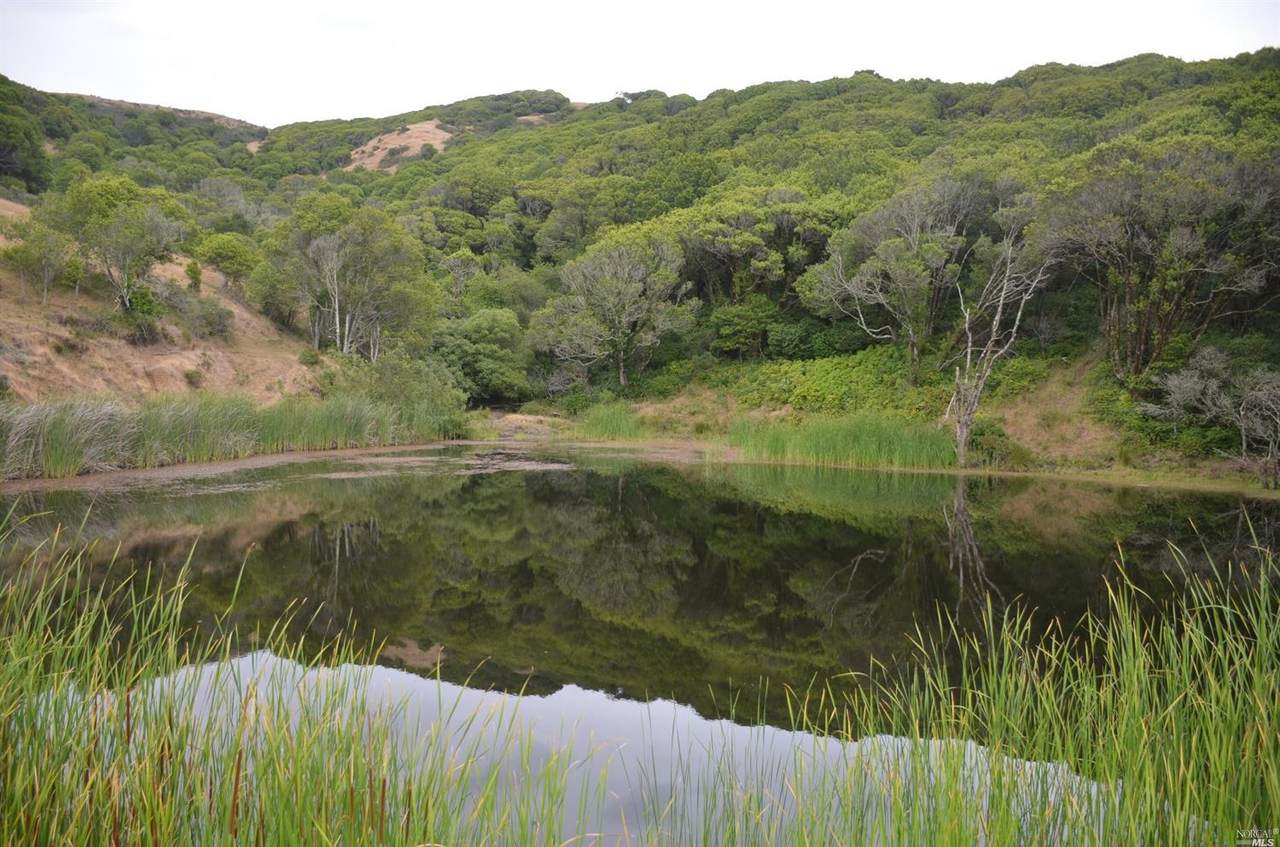 200 Tomasini Canyon Road - Photo 1